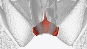 JsfHrhoqiwZ7E zP8cSzvOtVX0q gienn7crrbN8MhwUFDPZ2cZ2rhoDRkBNicH6OZE6BpP74A11YzcoCh7lhQEZSveYiankMyDQ71Dpd5U